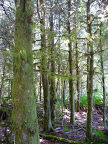 P1010365.JPG