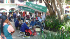 P1040242.JPG