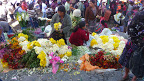 P1050429.JPG