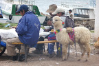 P1080257.JPG