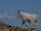 P1020161.JPG