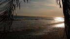 P1050528.JPG