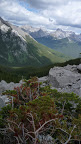P1000780.JPG