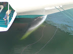P1010300.JPG