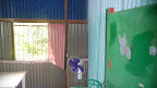 P1050490.JPG