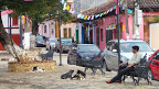 P1040540.JPG