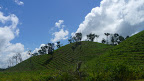 P1050130.JPG