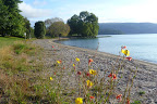 P1100159.JPG