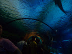 P1030880.JPG