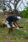 P1110340.JPG